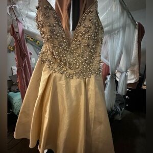 Gianni Bini champagne Sequin Embellished Mini Dress